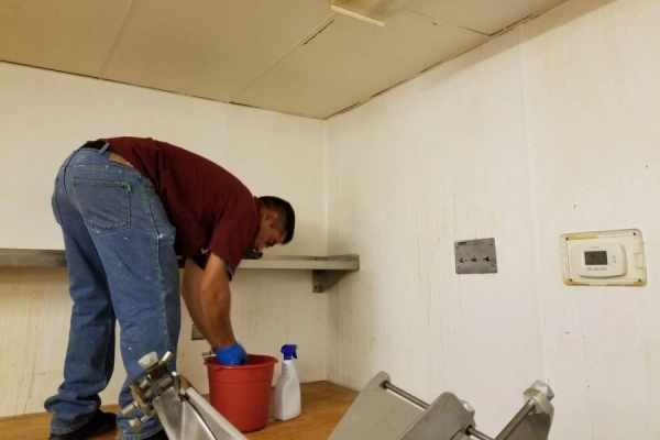 Livermore Janitorial Services's Other Services